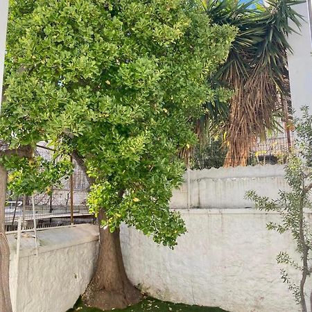 Modern 3Br Maisonette With Garden 10 Min From Acropolis Афіни Екстер'єр фото